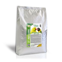 PASTONCINO PARROCCHETTI SOFT PLUS PINETA