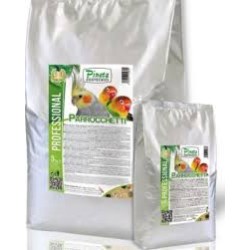 PASTONE PARROCCHETTI PINETA