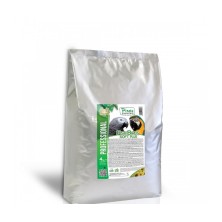 PASTONCINO PSIT BIRDS SOFT...