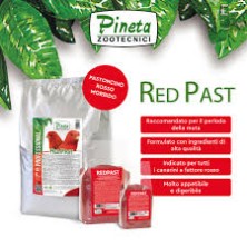 PASTONCINO RED PAST 1KG PINETA