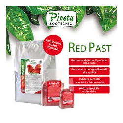 PASTONCINO RED PAST 1KG PINETA