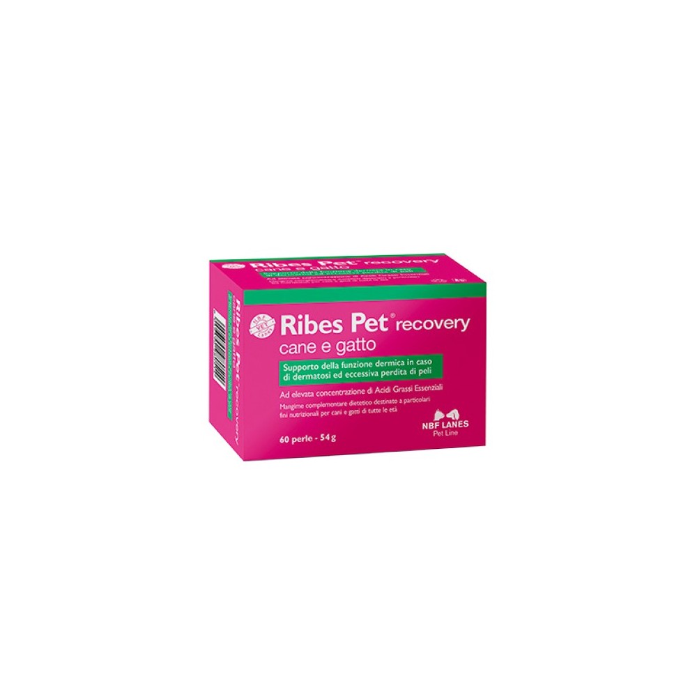 RIBES PET RECOVERY 60 PERLE