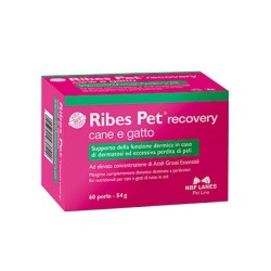 RIBES PET RECOVERY 60 PERLE