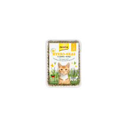GIMCAT - HYDRO GRAS ERBA GATTO 150g