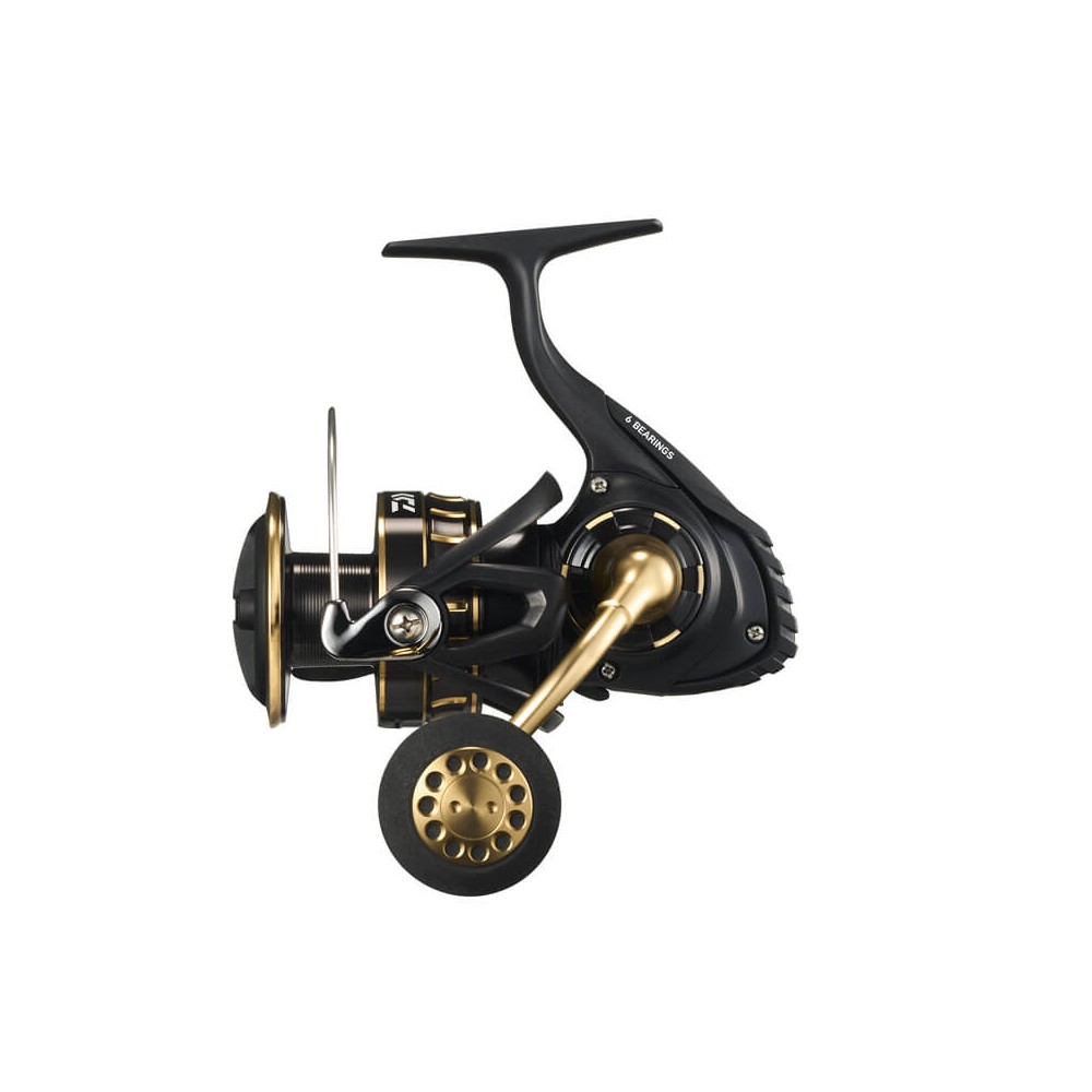 BG SW 6000D-P DAIWA