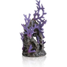 BIORB - BARRIERA CORALLINA...