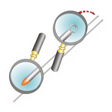 AGHI BIBI TESTA ROSSA STONFO