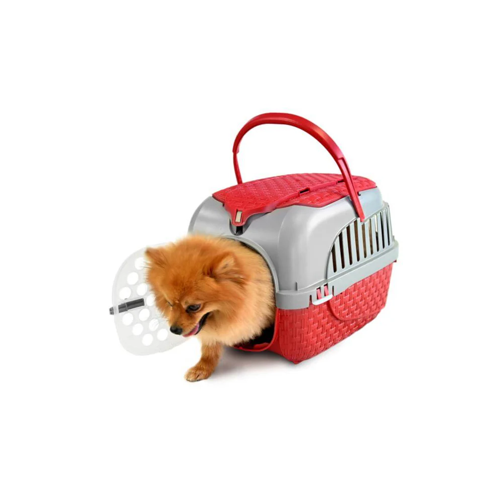 BAMA PET - TRASPORTINO TOUR