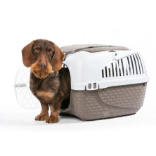 BAMA PET - TRASPORTINO TOUR