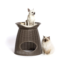 BAMAPET - CUCCIA PASHA + 2...