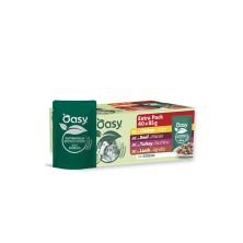 OASY FILETTINI IN SALSA -...