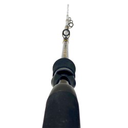 NAXOS 300-C 6'8" 203CM 300GR CASTING COLMIC