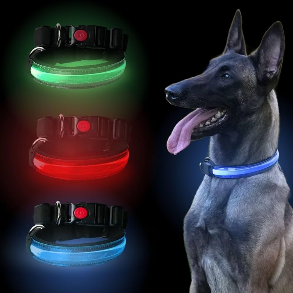 PETTY ITALIA - COLLARE REGOLABILE PER CANI IN BIOTHANE CON LED
