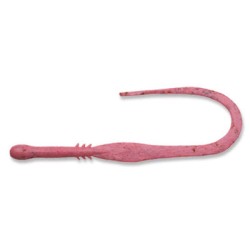 KUWASE COURLY SLIM ECOGEAR