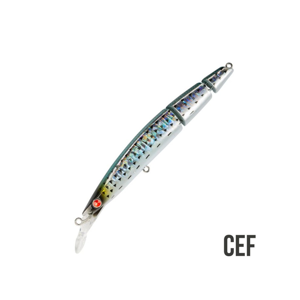 BUGINU 115F BIU SEASPIN