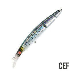 BUGINU 115F BIU SEASPIN