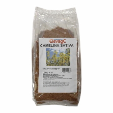 CAMELINA SATIVA 1KG ELEVAGE