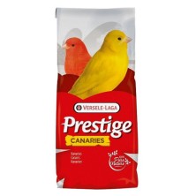 CANARINI STAR FIVE CON...