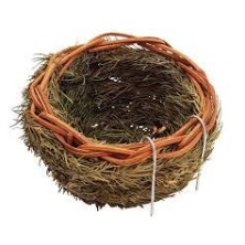 NIDO IN PINO CON GANCI...