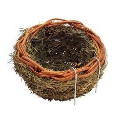 NIDO IN PINO CON GANCI VERSELE-LAGA