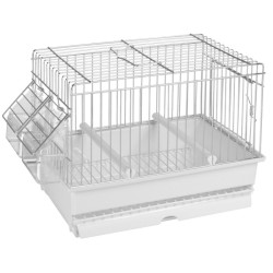 TRASPORTINO BROOKLYN 2GR