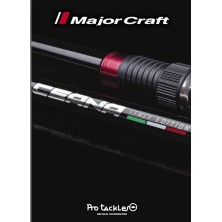 CEANA ITALY EDITION 7'7"...