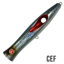 TOTO 131 36GR SEASPIN