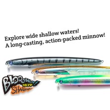 BLOOOWIN! 167F SHALOW 22GR...