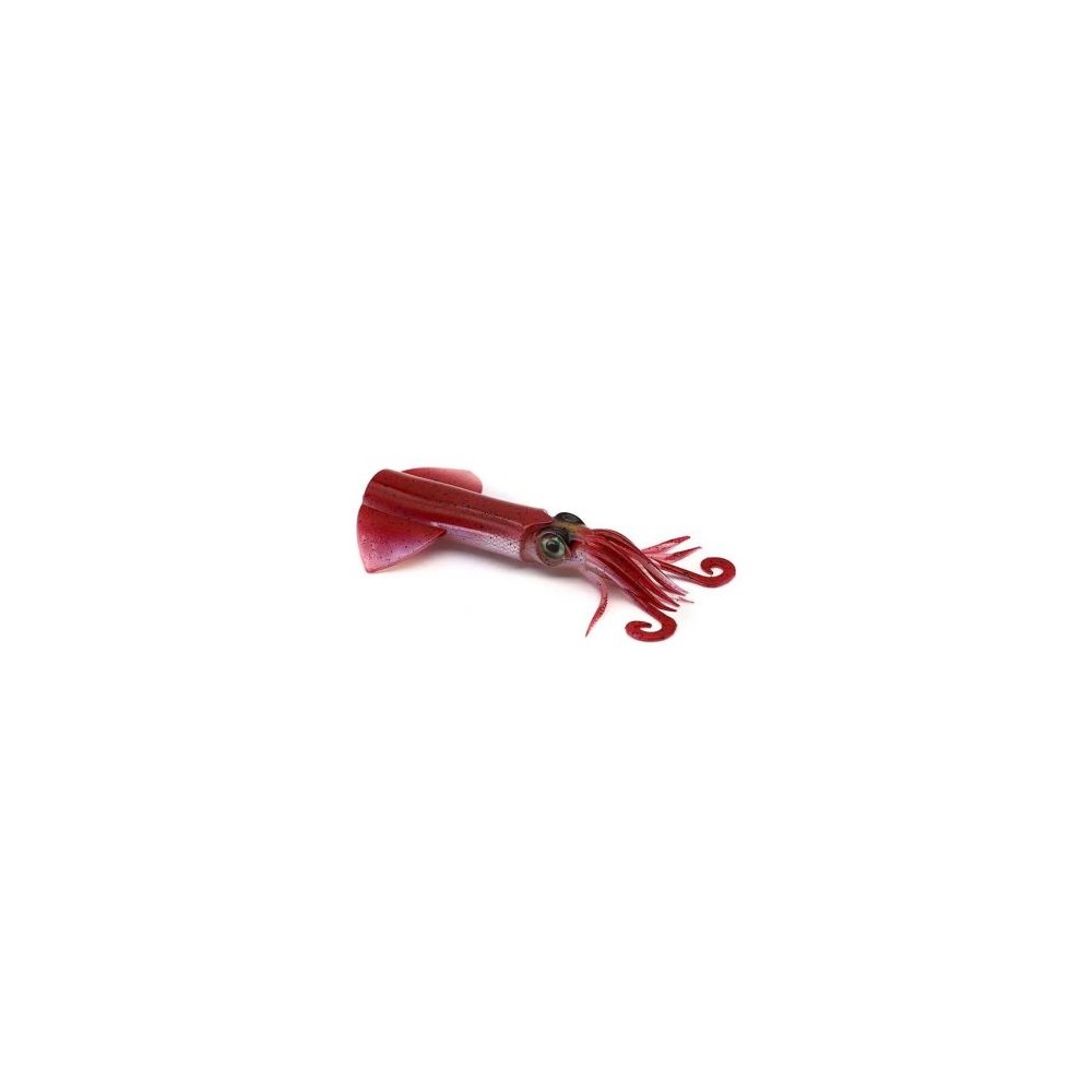 BODY XIPI EVO 170 JLC