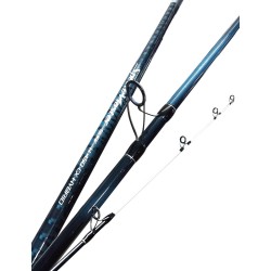 SPEED MASTER SURF EX BEACH 450120GR SHIMANO