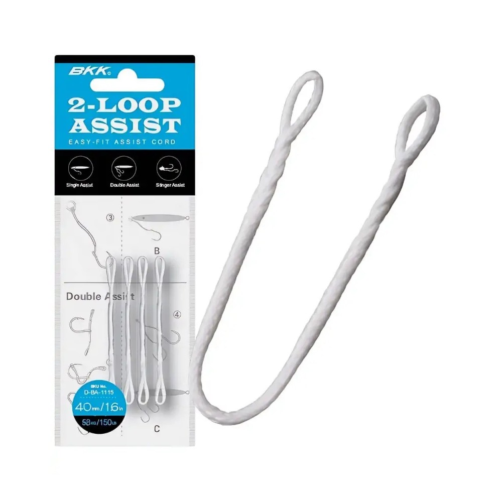 2-LOOP ASSIST BKK