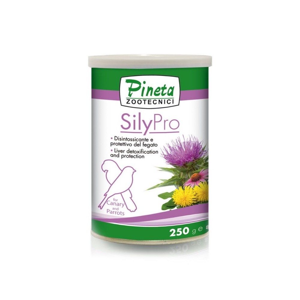 SILY PRO 250GR PINETA