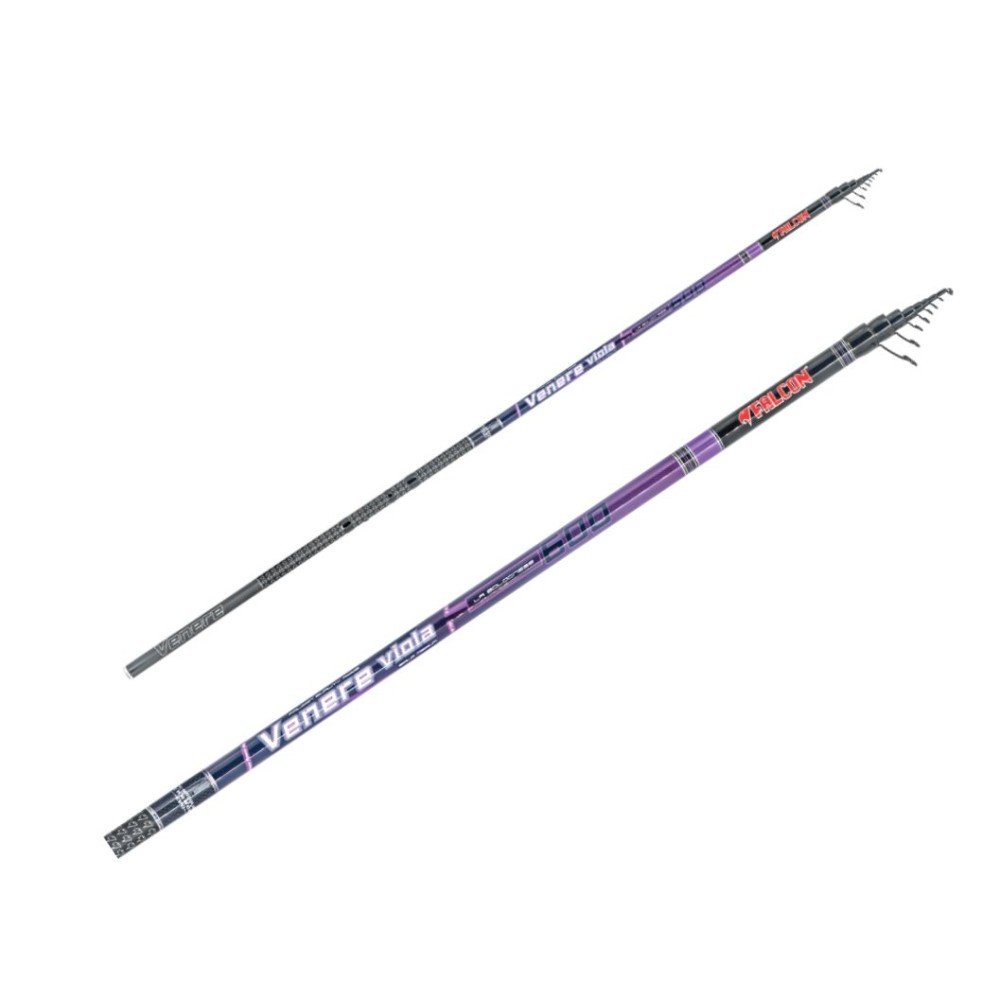 VENERE VIOLA 6MT FALCON
