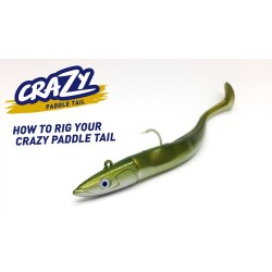CRAZY PADDLE TAIL N°1 Fiiish combo off-shore 10Gr