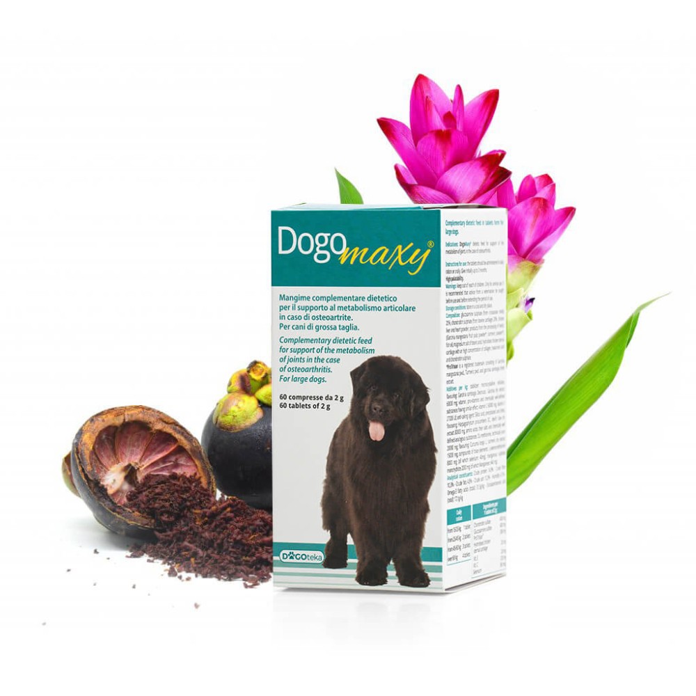 DOGOTEKA - DOGOmaxy 60 COMPRESSE