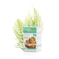 DOGOTEKA - DOGOjunior 60 COMPRESSE