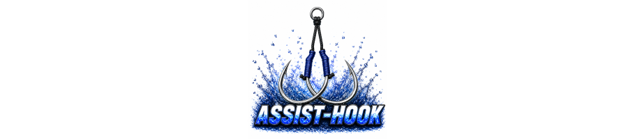 ASSIST HOOK