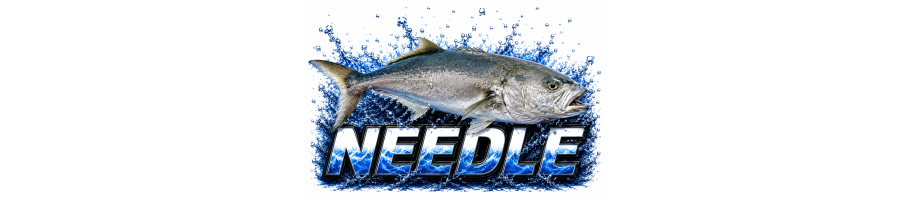 NEEDLE