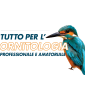 ORNITOLOGIA
