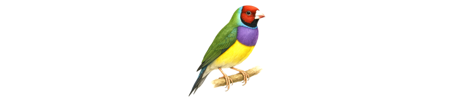ESOTICI