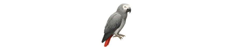 PAPPAGALLI