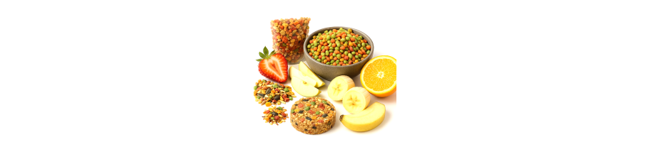 BASE FRUTTA