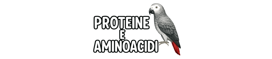 PROTEINE E AMINOACIDI