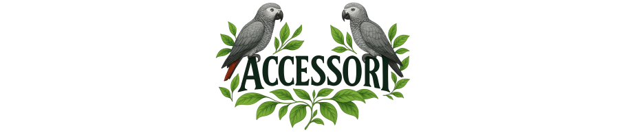 ACCESSORI