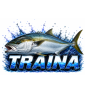 TRAINA