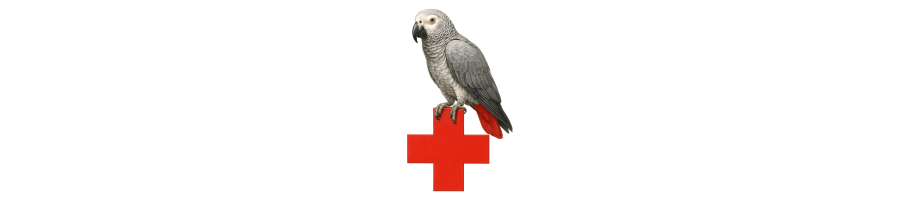 PREVENZIONE MALATTIE