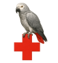 PREVENZIONE MALATTIE