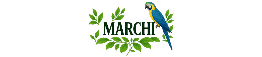MARCHI