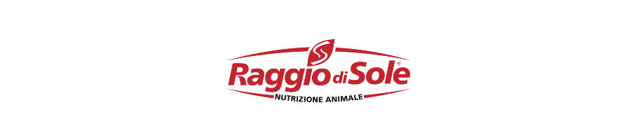 RAGGIO DI SOLE