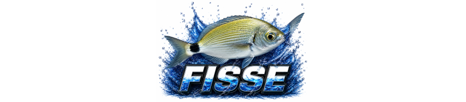 FISSE